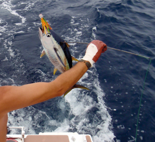 Chronique New Caledonie