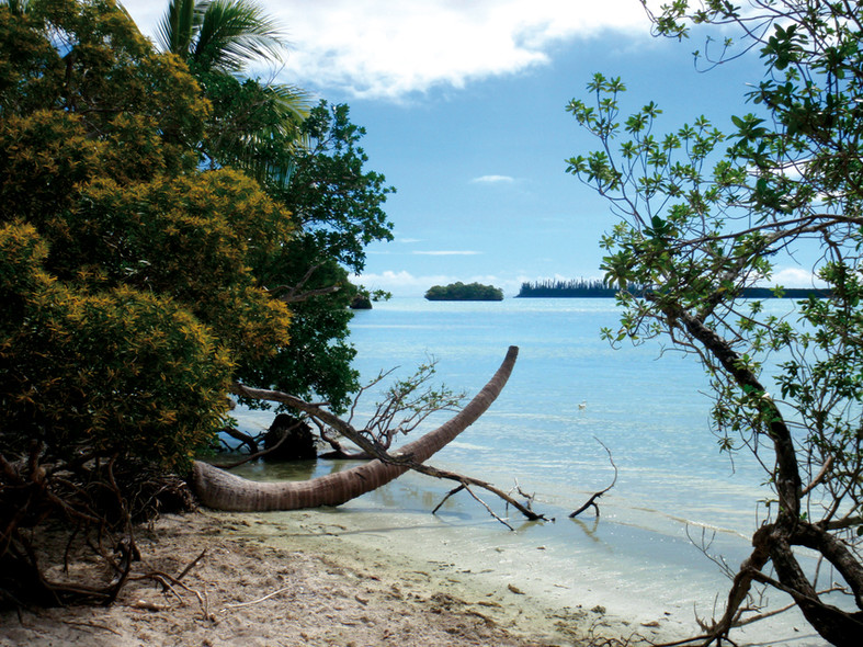 Chronique New Caledonie