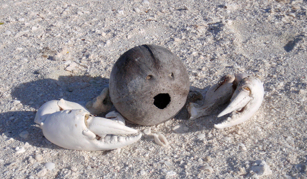 Chronique autour du monde - Mopelia