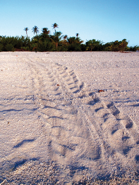 Chronique autour du monde - Mopelia