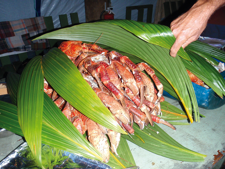Chronique autour du monde : Suvarov