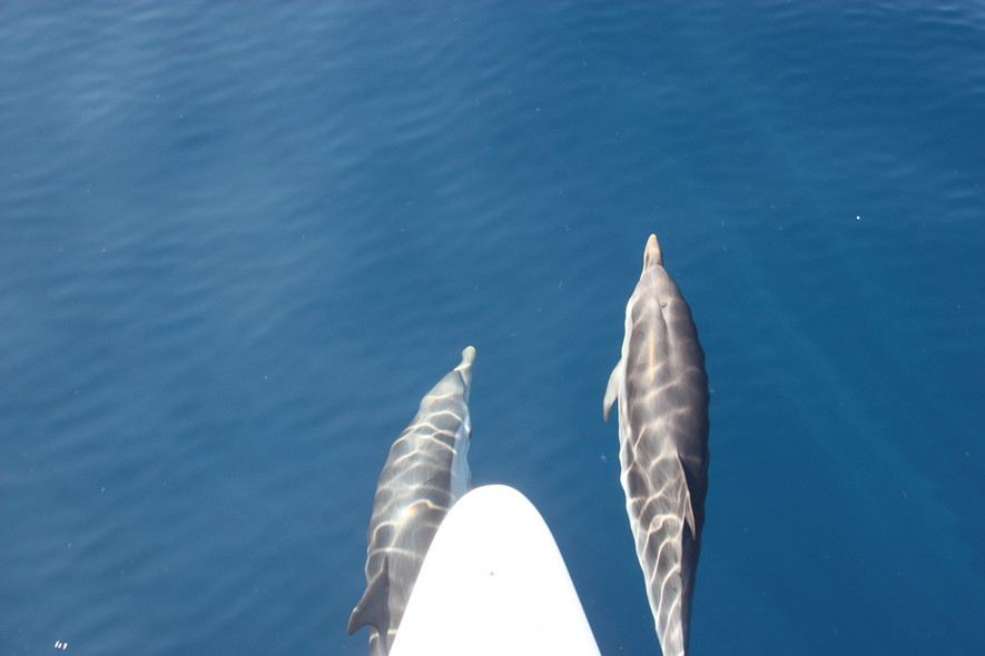 Couple heureux en mer