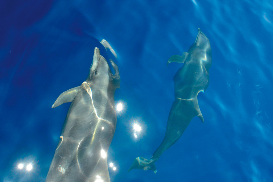 Jeune photographe en bateau