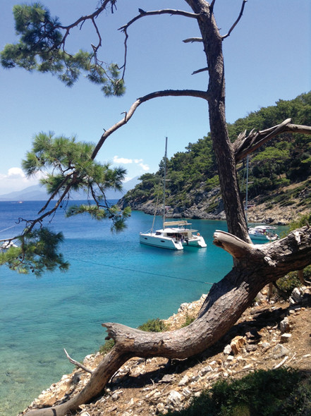 Larrikin autour du monde