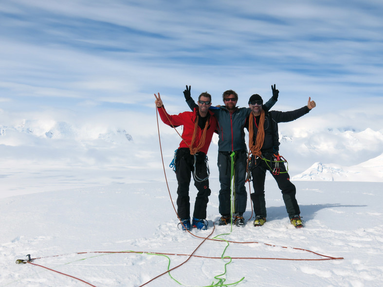 Libellule en Antarctique