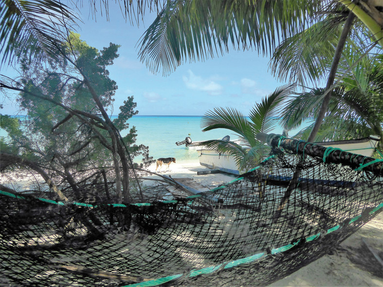 Spot Des Lecteurs MM181