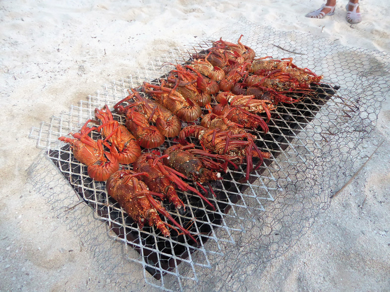 Spot Des Lecteurs MM181