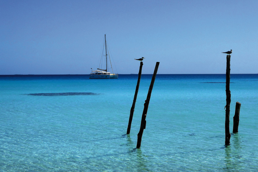 Carte Postale Ylang Ylang