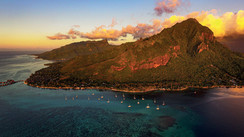 Moorea - Le joyau polynésien