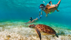 Îles Vierges Américaines - L’Amérique au parfum Caraïbes