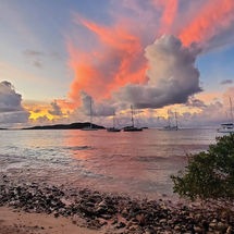 Kookaburra - Un hiver aux Caraïbes
