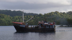 Vanuatu, l'heureuse découverte... 1ère partie
