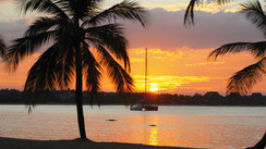 Les tropiques du Sri Lanka