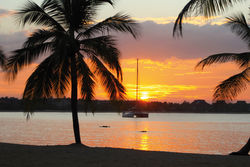 Les tropiques du Sri Lanka