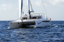 Essai : Dolphin 460 