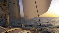 Testez-vous : Etes-vous enfin prêt à transater ?