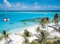 Grenadines, à ne pas rater !