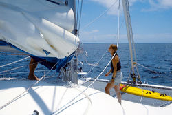 Madagascar, une île continent unique