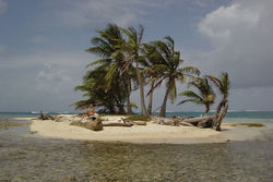 San Blas et son corail