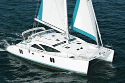 Discovery 50 Cat Mk2