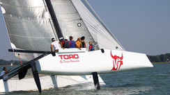 Toro 34