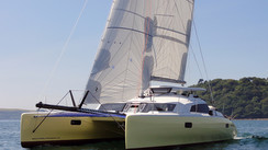 Dazcat 1195