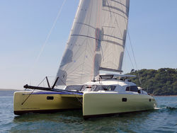 Dazcat 1195