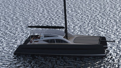 C-Cat 50