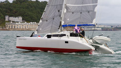 Dazcat 995