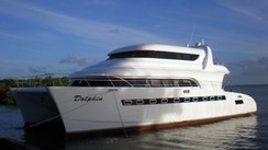 Dolphin 700 Trawler