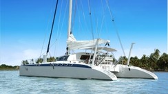 Dolphin 600