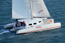 Neel 50