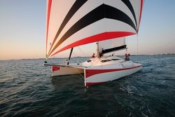 Rackam 26 Wing