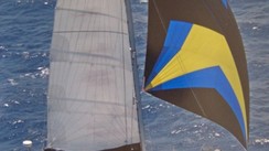 Scape 39 Sport Cruiser