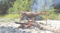 Milo One : Découverte de l’Alaska