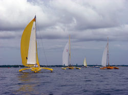 Route du Rhum Essai course : A Capella, un trimaran pour gentleman skipper