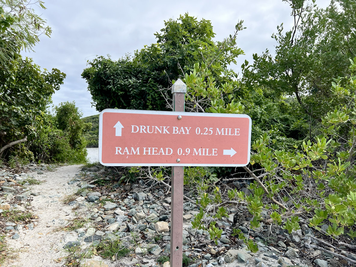 De nombreux trails, souvent accessibles depuis la plage, permettent de se dégourdir les jambes et de profiter de la végétation et du panorama.