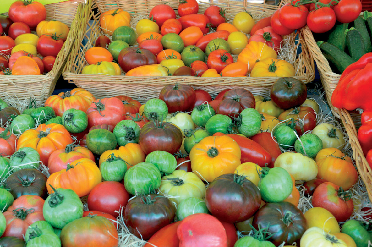 Le climat très favorable de la French Riviera ne profite pas qu’aux marins…