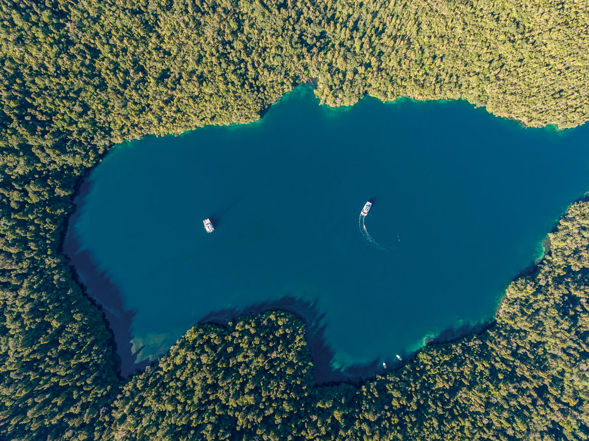 Notre premier mouillage à Dusky Sound sera Sportsman Cove, une enclave d’eau  au milieu d’une île, dont l’entrée est particulièrement étroite.