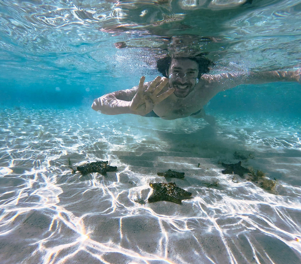 Vous aimez nager dans des eaux transparentes ?  Vous devriez trouver votre bonheur aux great Abaco… 