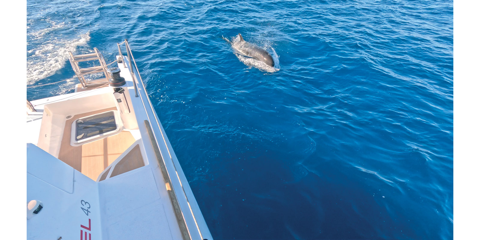 Plus de peur que de mal ; ce « pseudo orque » a juste rendu une petite visite…